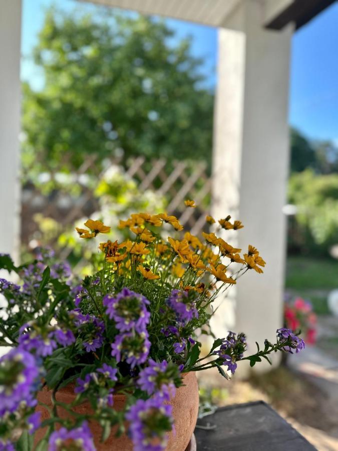 Guest House Saulkrasti Εξωτερικό φωτογραφία